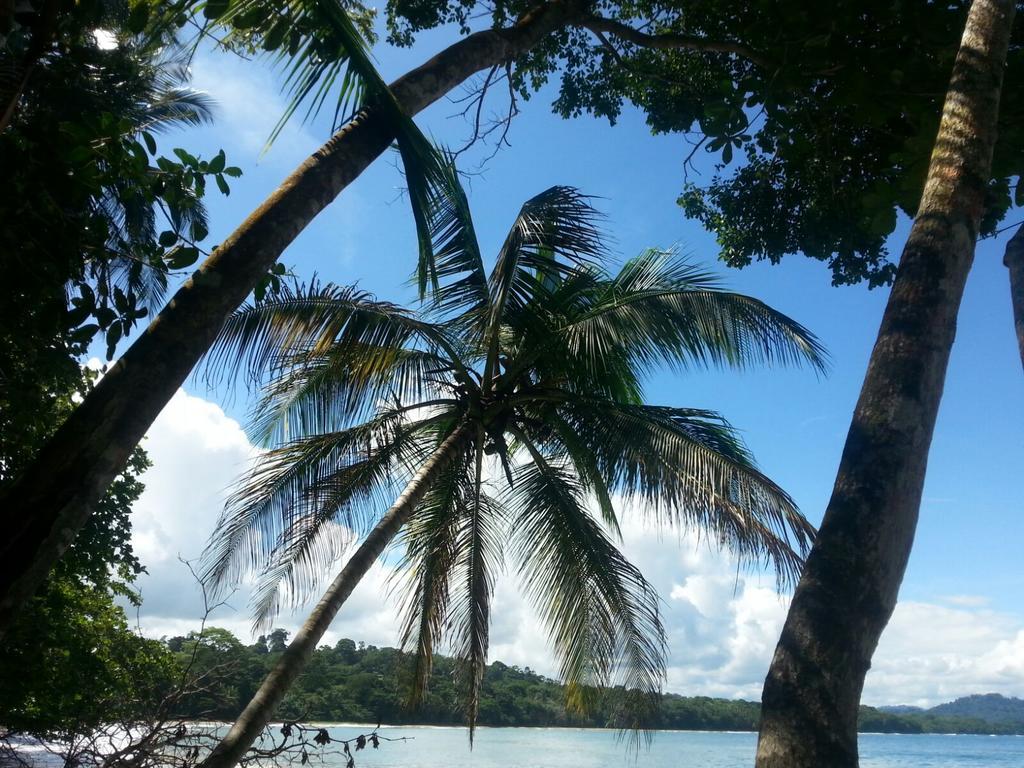 Mar Verde Lodge Puerto Viejo de Talamanca Exteriér fotografie