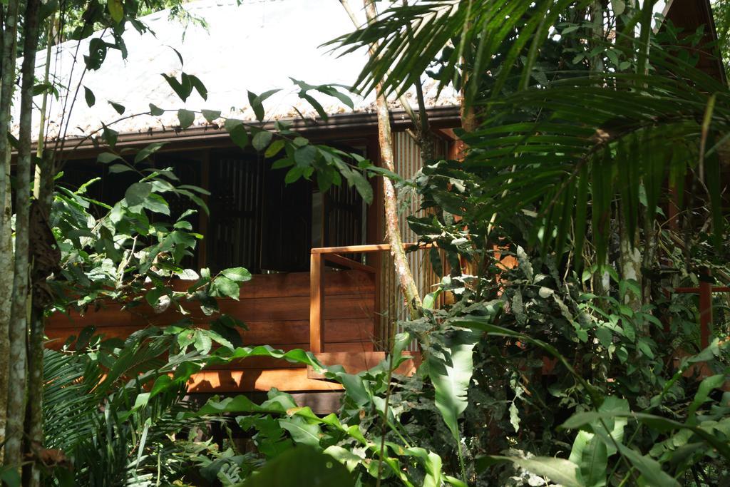 Mar Verde Lodge Puerto Viejo de Talamanca Pokoj fotografie