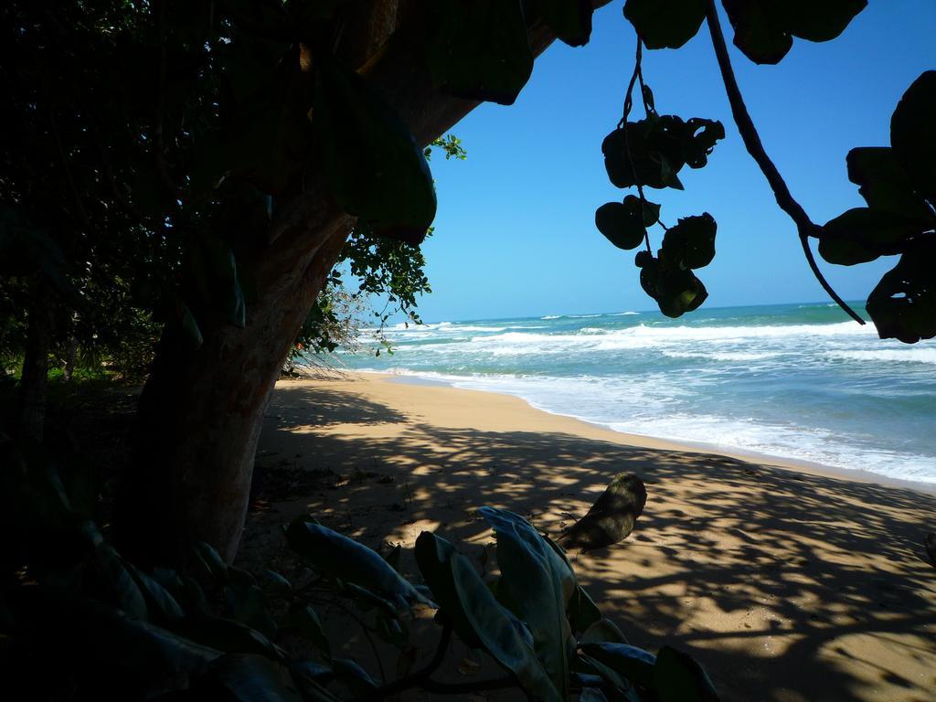 Mar Verde Lodge Puerto Viejo de Talamanca Exteriér fotografie