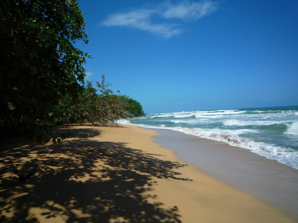 Mar Verde Lodge Puerto Viejo de Talamanca Exteriér fotografie