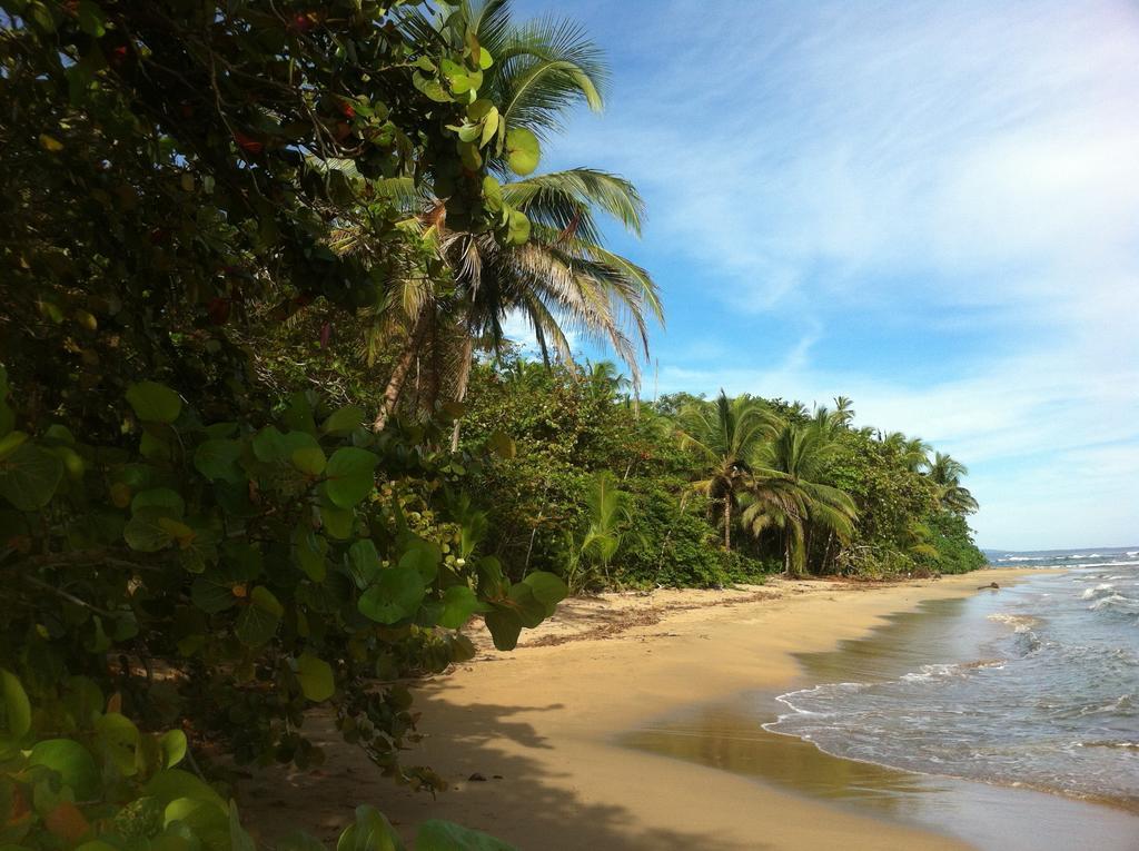 Mar Verde Lodge Puerto Viejo de Talamanca Exteriér fotografie