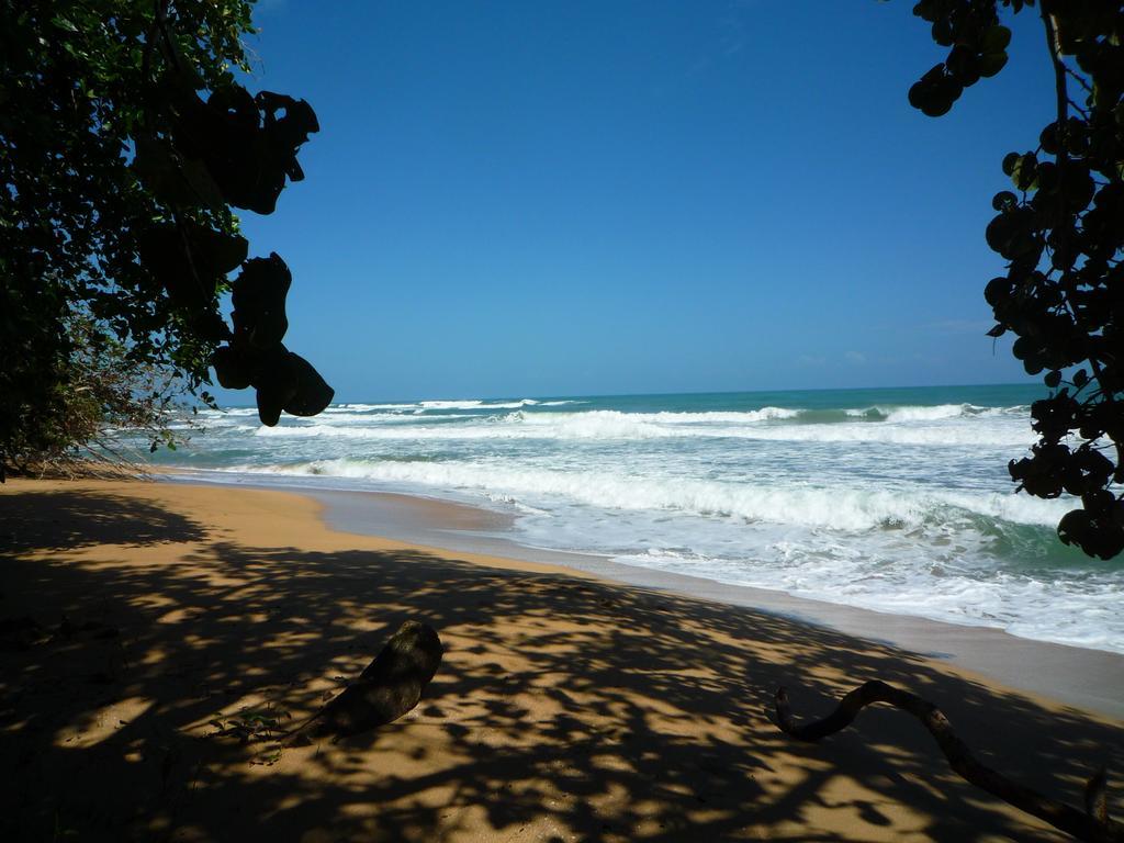 Mar Verde Lodge Puerto Viejo de Talamanca Exteriér fotografie