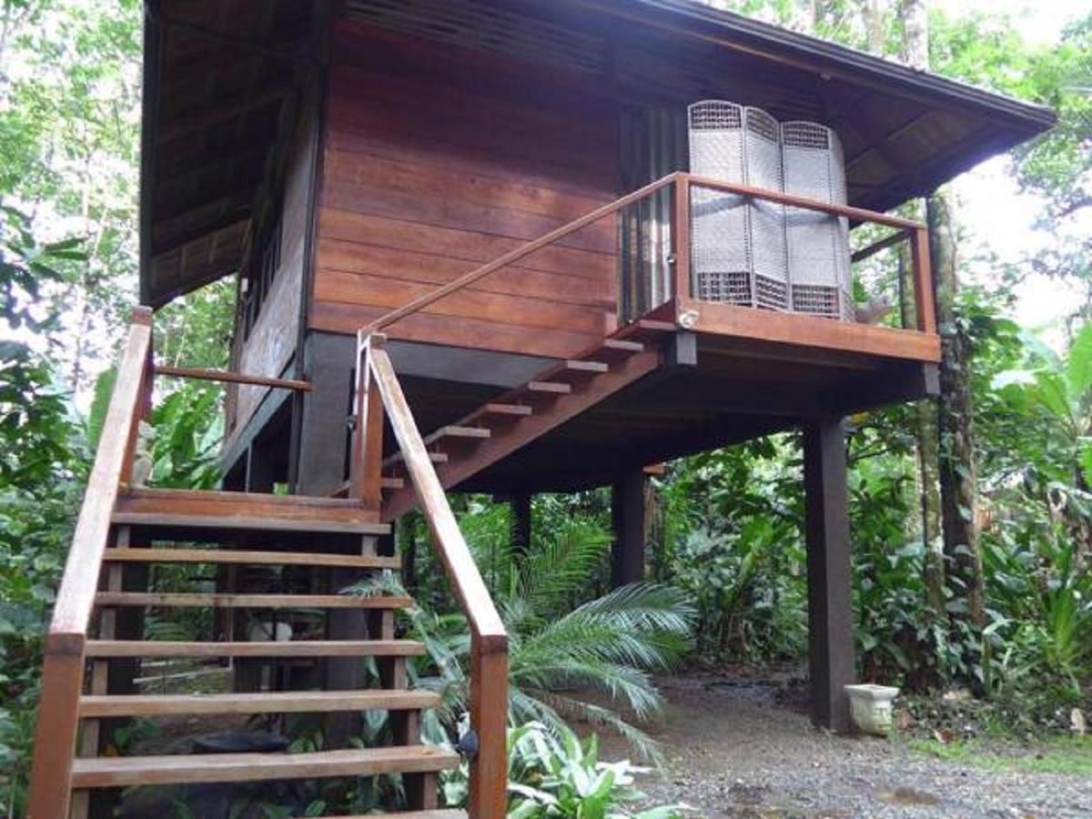 Mar Verde Lodge Puerto Viejo de Talamanca Exteriér fotografie