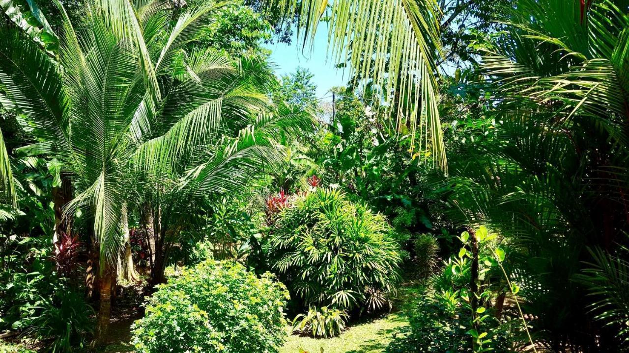Mar Verde Lodge Puerto Viejo de Talamanca Exteriér fotografie